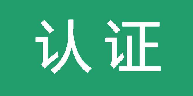 外推蜘蛛池灰色词排名代发